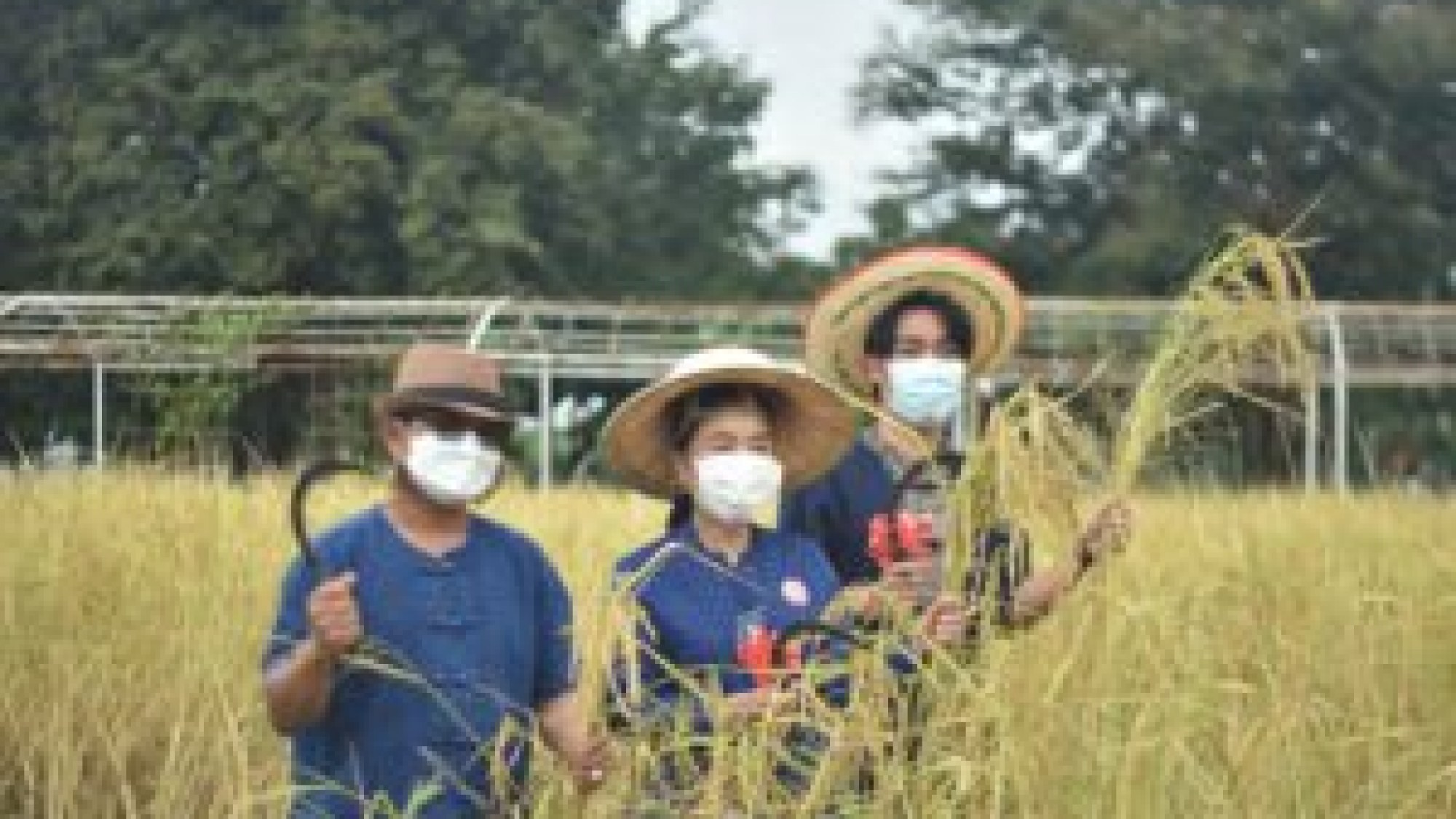 257251301_290412573091166_1374756249003019673_n-300x200